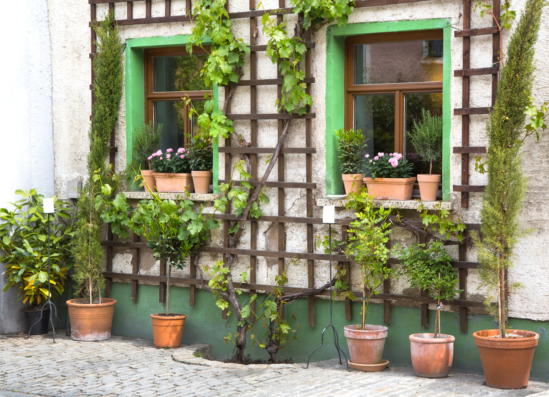 trellis on side of house with latticework.